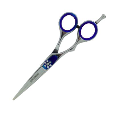 Silver 5" Straight Scissor
