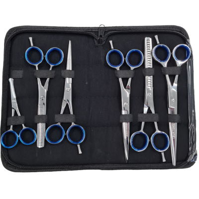 Burtons Silver Show-Line Professional Scissors - 6 Piece Set With Case
