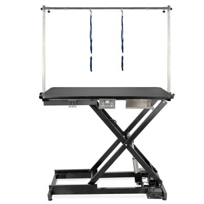 Burtons Pro Electric Inclined-strut Grooming Table with Standard Feet