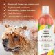 Wahl Copper Tones Dog Shampoo - 500ml 15:1 Super Concentrate