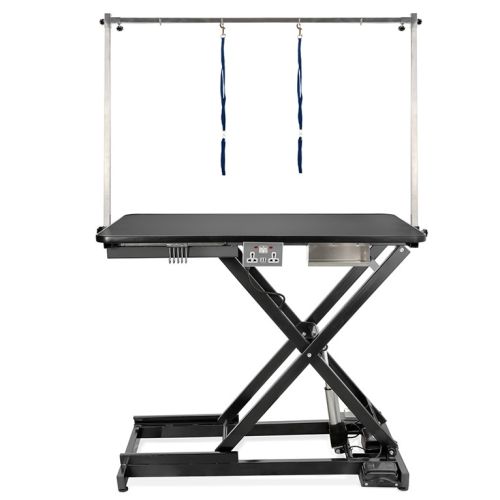 Burtons Pro Electric Inclined-strut Grooming Table with Standard Feet