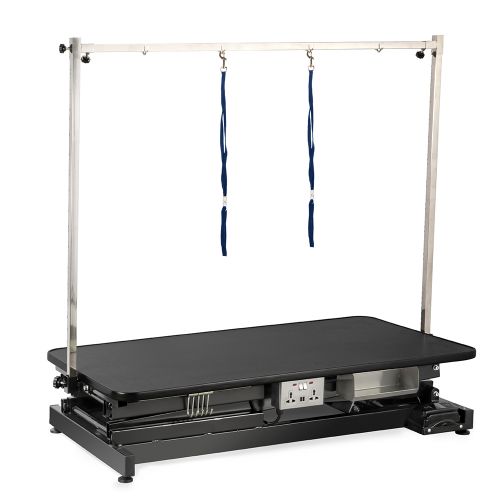 Burtons Pro Electric Inclined-strut Grooming Table with Standard Feet