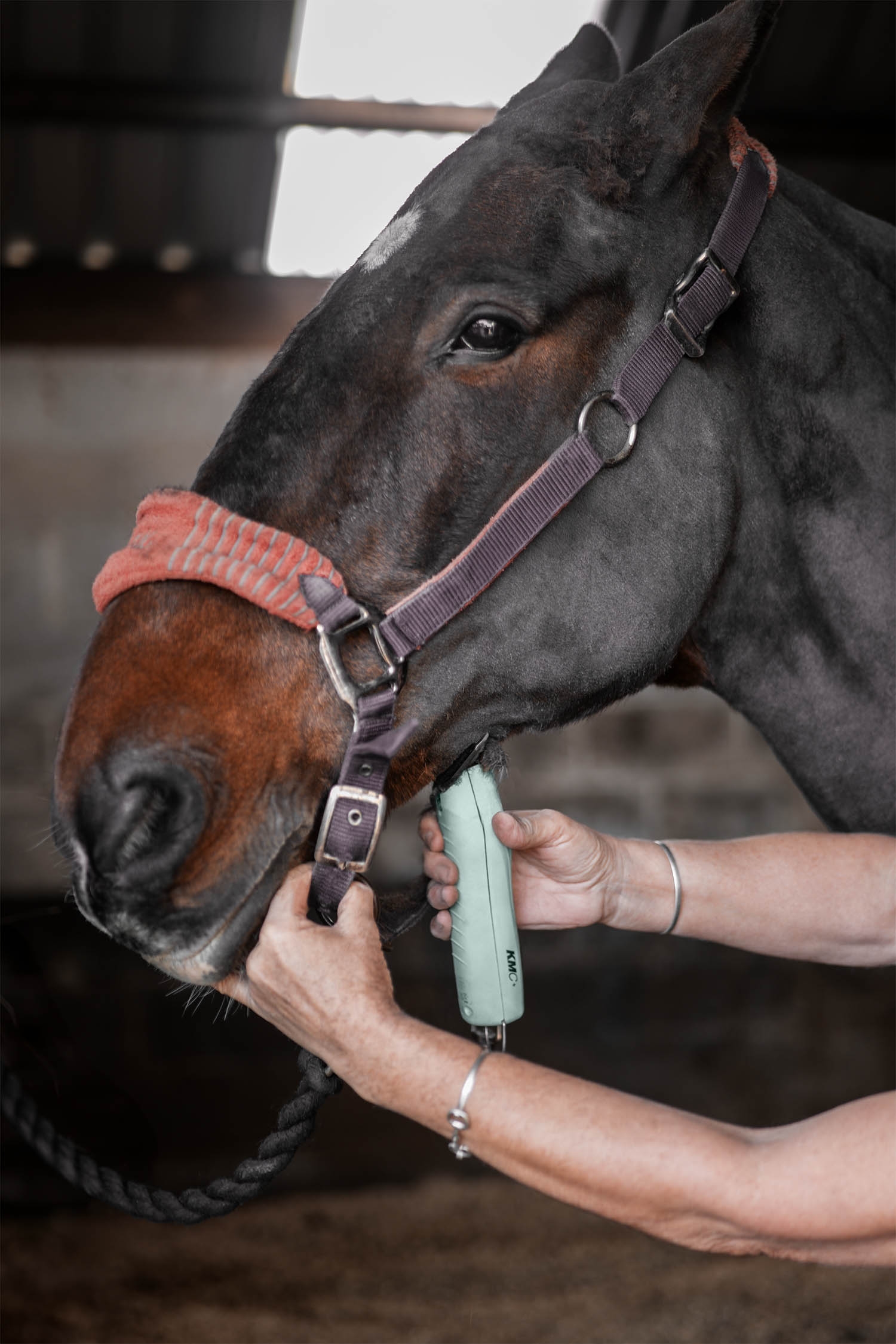  KMC+ Equine Clipper