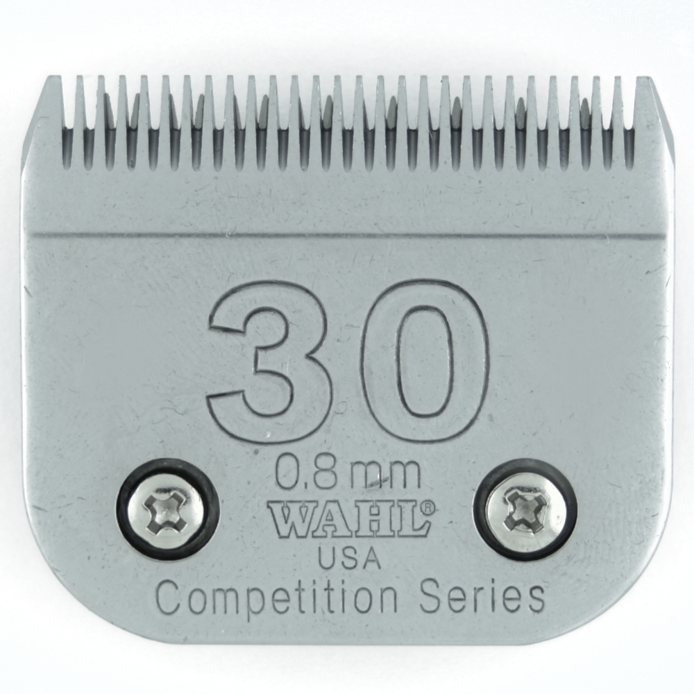 wahl competition