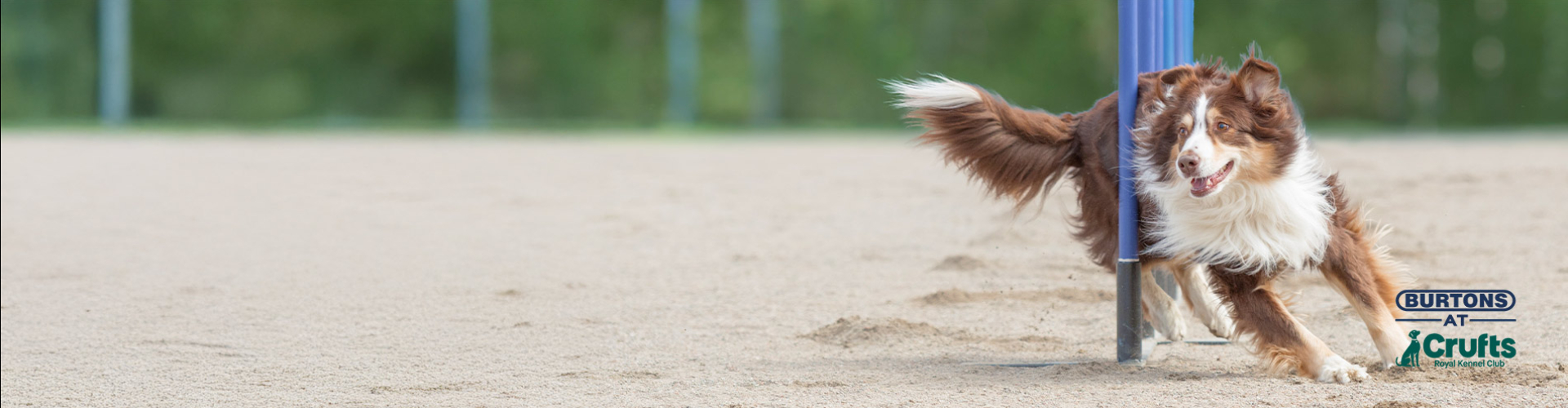 PM - Grooming - Welcome